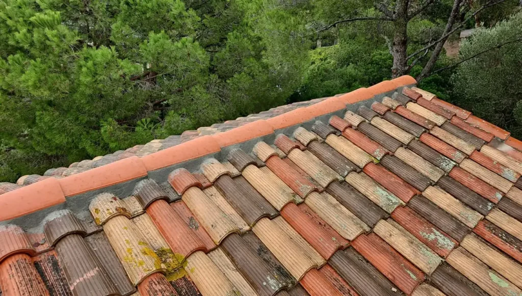 IMG-20250915-WA0050 copie