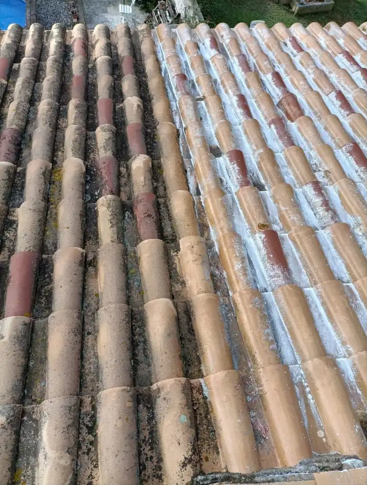 nettoyage et demoussage de toiture